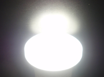 LED bulb Day-White(DW)