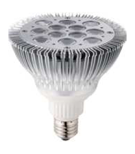 PAR38 20.8W LED Lamp