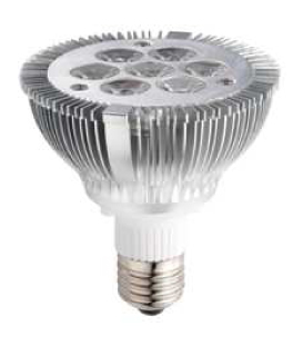 PAR30 12.1W LED Lamp