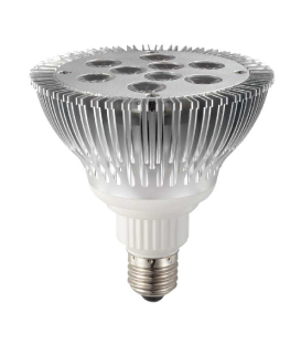 PAR38 15.6W LED Lamp