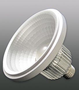 PAR30 9W LED Lamp